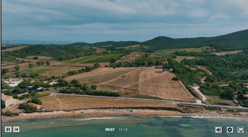 Copertina di: Populonia